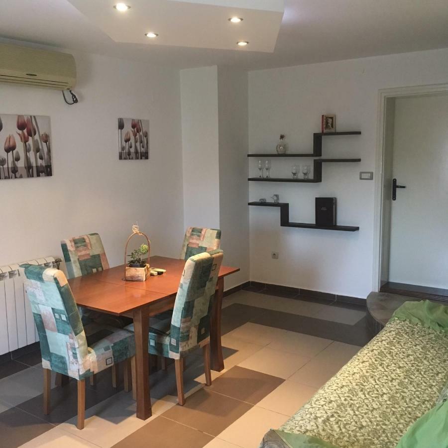 Sangaj Apartment 贝尔格莱德 外观 照片